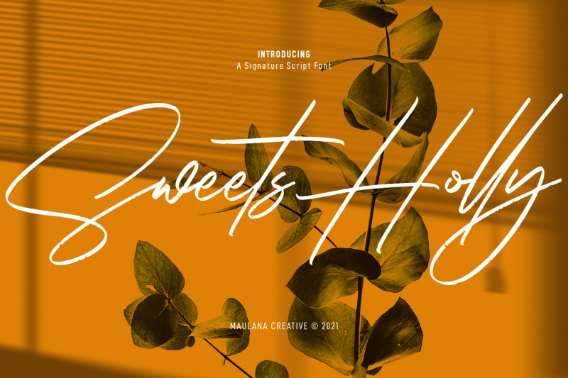 sweets-holly-signature-script-font