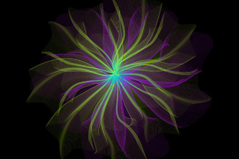 30-transparent-openwork-petal-adobe-illustrator-art-brushes