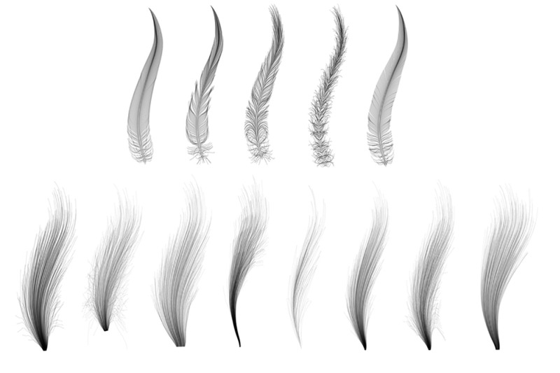 fur-and-feather-13-fluffy-vector-art-ai-brushes