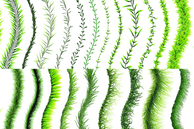 30-green-foliage-brushes-vector-adobe-illustrator-pattern-plant-brus