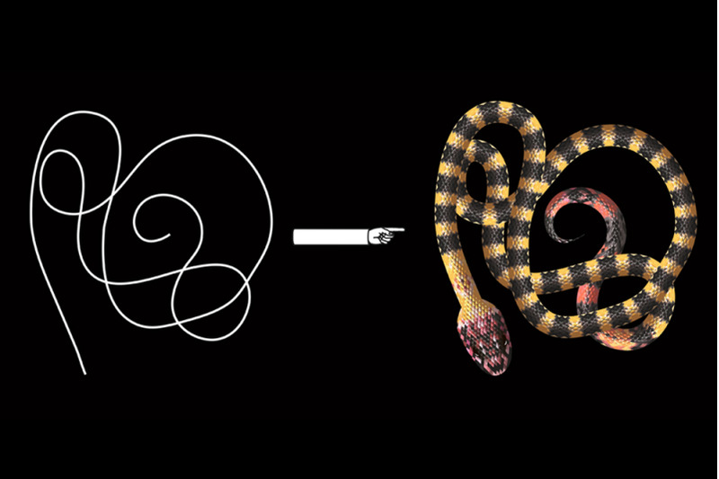 8-snake-pattern-brushes-poisonous-serpent-vector-ai-tool