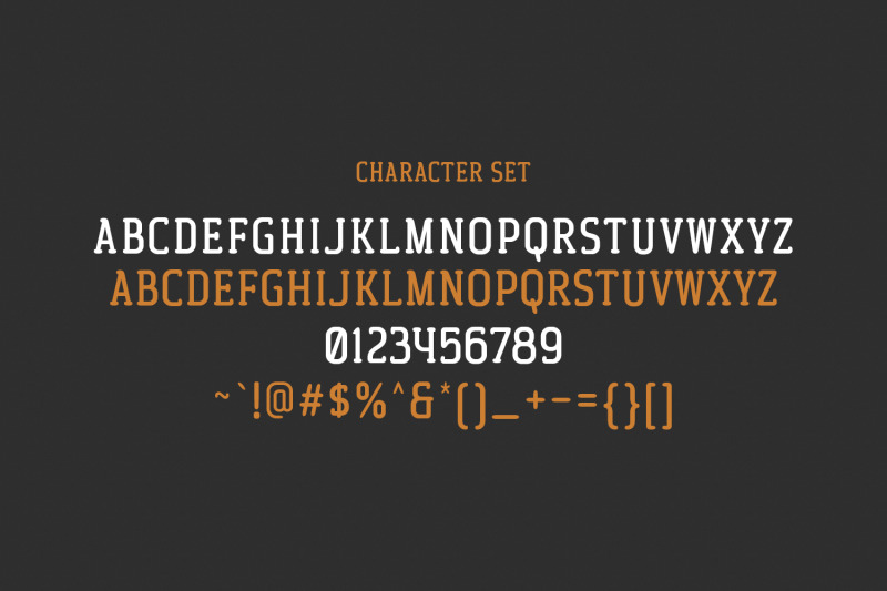 westryder-slab-rounded-serif-font