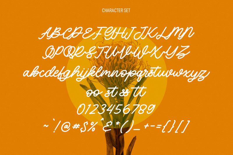 lenteras-monoline-script-font