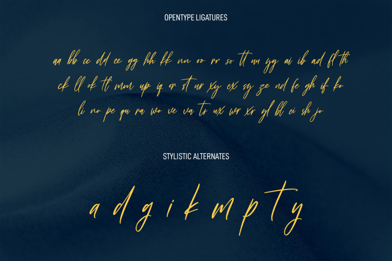 destinys-font-signature-script-display-sans-serif