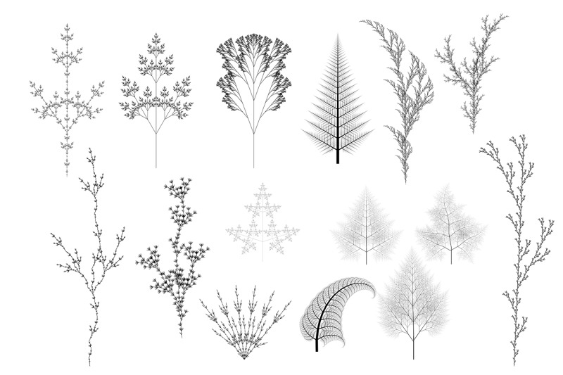 53-vector-l-system-fractal-plants-computer-generated-tree-mathematic