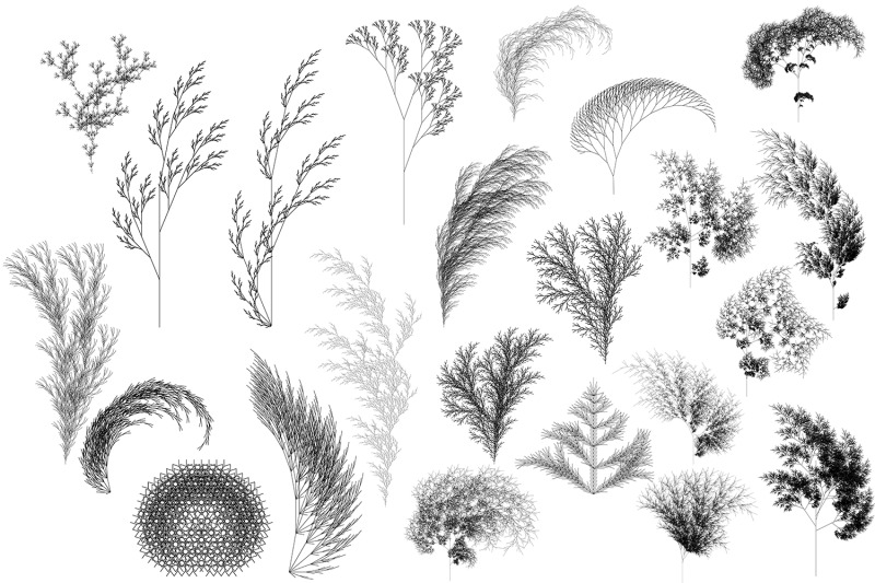 53-vector-l-system-fractal-plants-computer-generated-tree-mathematic