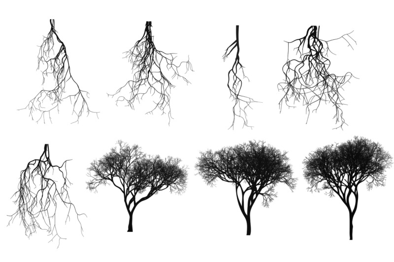 8-bare-tree-photoshop-hd-brushes