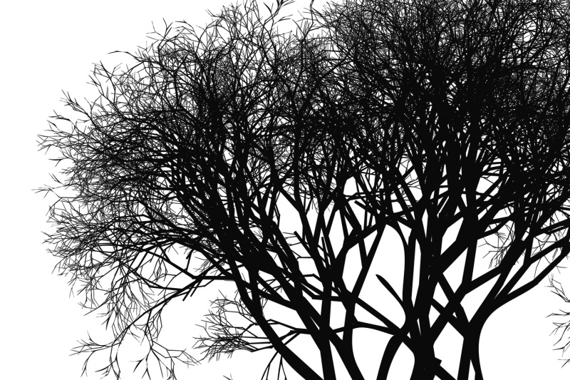 8-bare-tree-photoshop-hd-brushes