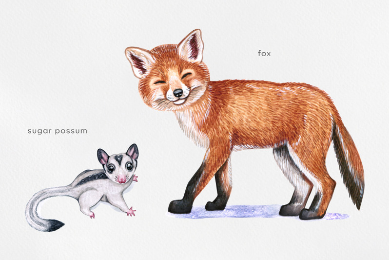 watercolor-set-baby-animals-illustrations-cute-6-animals