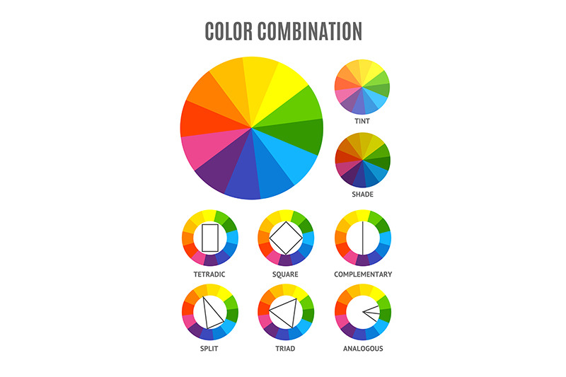 color-circle-palette-combination-set-vector