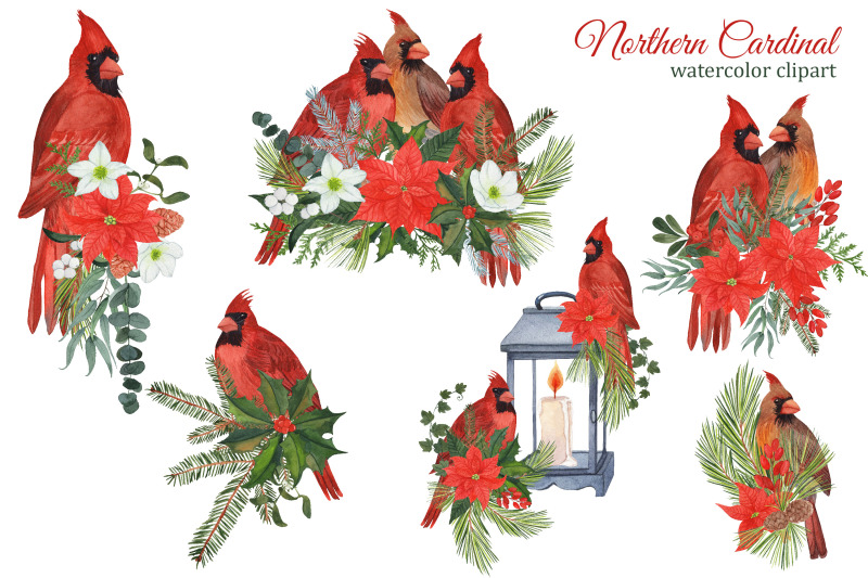 red-cardinal-christmas-watercolor-clipart-winter-birds-and-bouquets-p