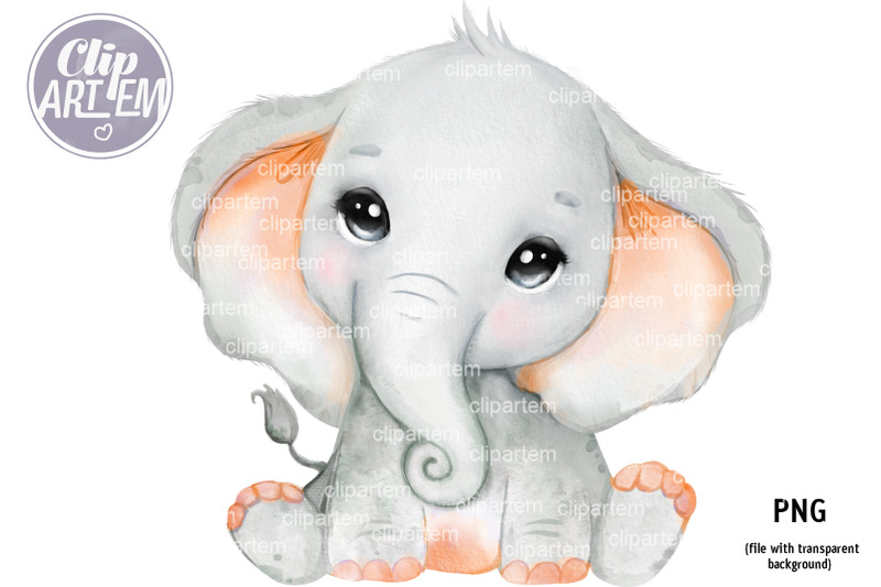 watercolor-orange-baby-elephant-unisex-png-clip-art