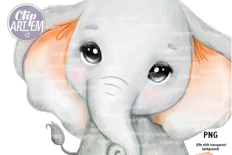 watercolor-orange-baby-elephant-unisex-png-clip-art