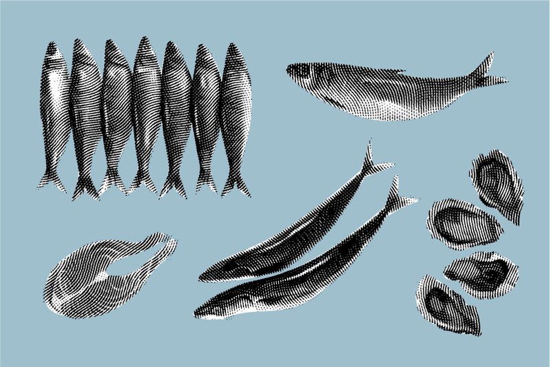 engraved-illustration-of-fishes