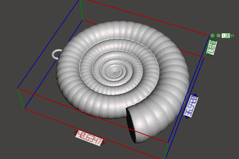 clamshell-ammonite-charm-3d-model-3d-printing-pendant