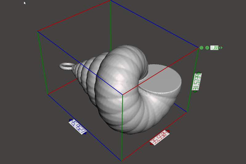 cockleshell-mollusc-charm-3d-model-3d-printing-pendant