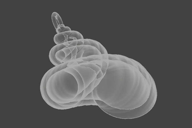 cockleshell-snail-mollusc-charm-3d-model-3d-printing-harm