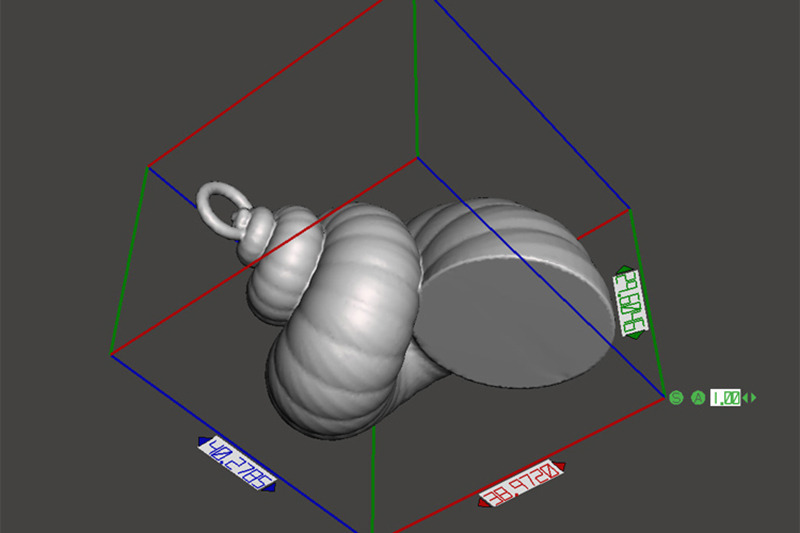 cockleshell-snail-mollusc-charm-3d-model-3d-printing-harm