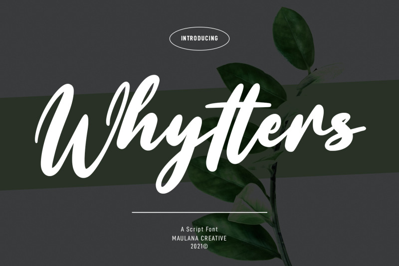 whytters-script-font