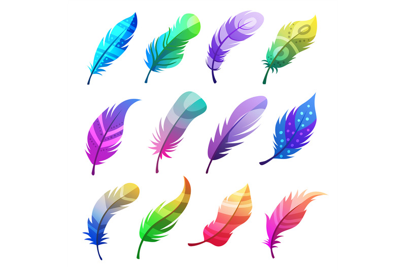 feather-colored-stylized-decorative-tribal-ornaments-on-feathers-of-b