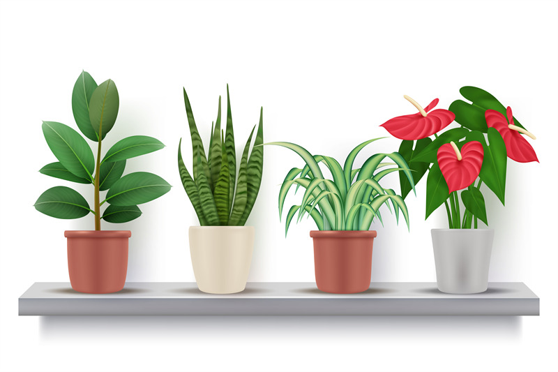 home-plants-realistic-flowers-with-leaves-in-pots-decorative-vase-vec