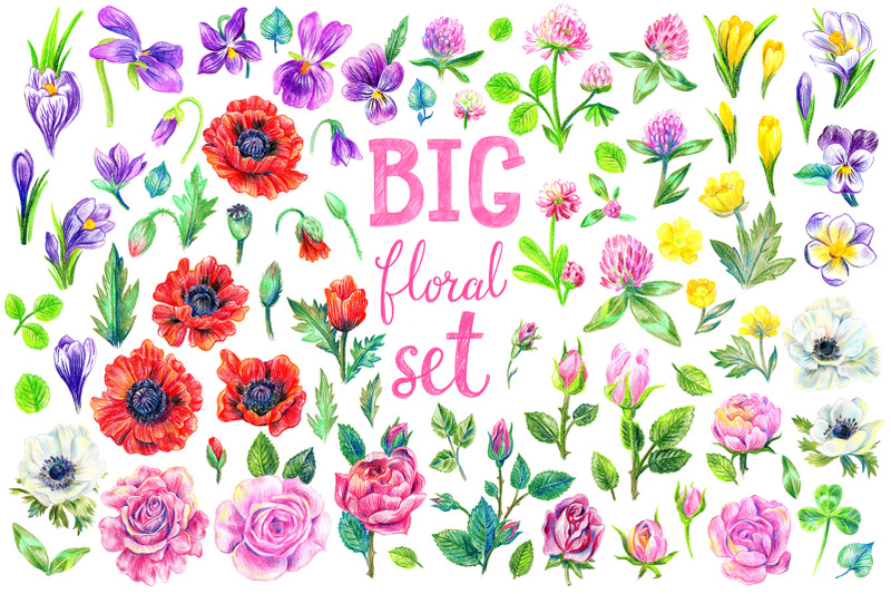 big-floral-set-111-items-png