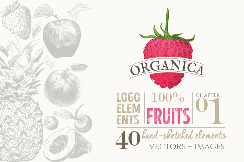 organic-logo-elements-fruits