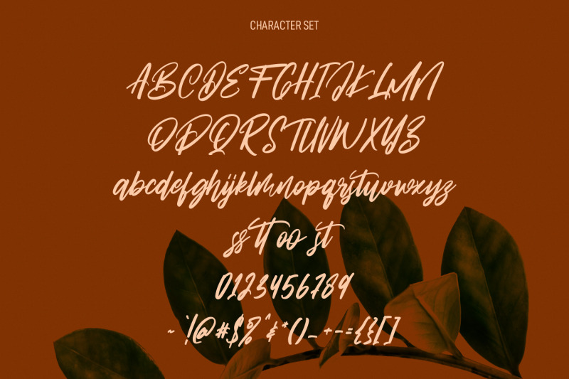 almond-nuts-signature-script-font