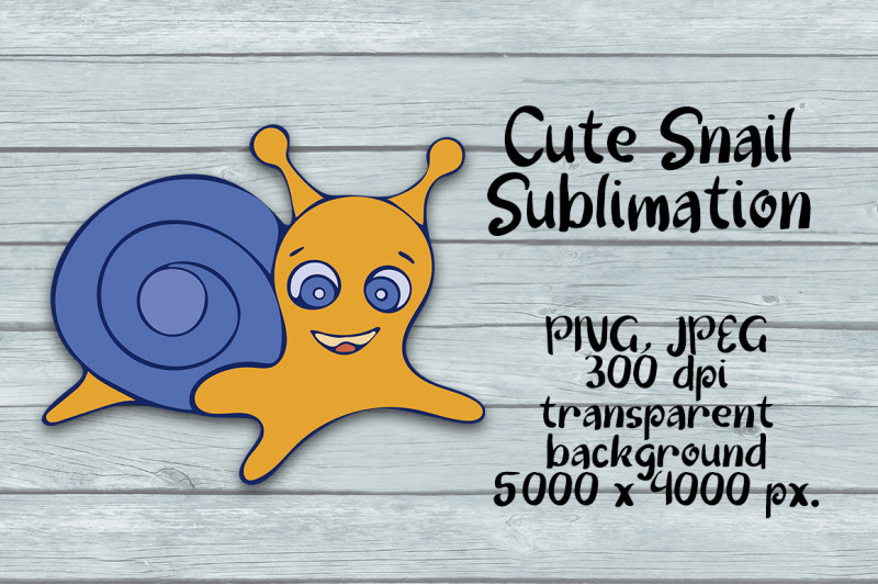 cute-snail-sublimation-png-design-animal-clipart