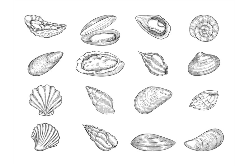 oyster-seafood-gourmet-products-natural-fresh-shells-vector-doodle-co