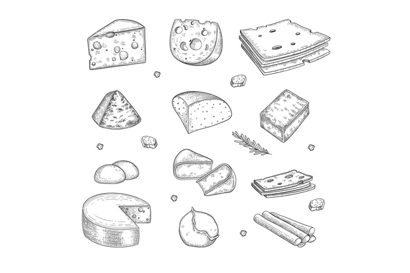 cheese-hand-drawn-milk-farm-tasty-organic-healthy-product-gourmet-cui