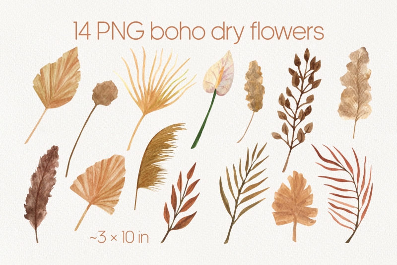 watercolor-boho-dry-flowers-clipart