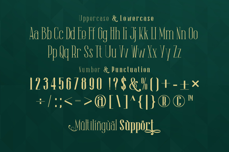 the-lingke-stylish-modern-serif-font