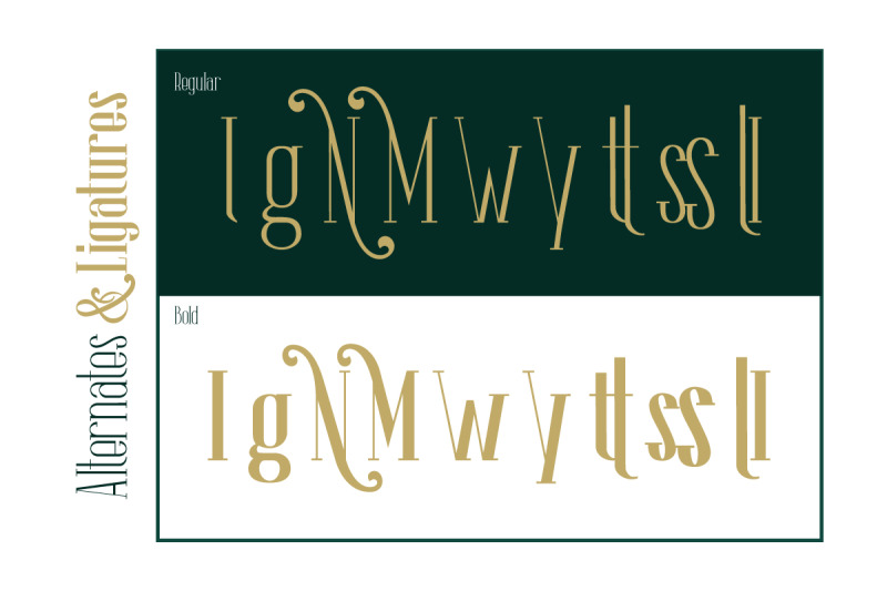 the-lingke-stylish-modern-serif-font