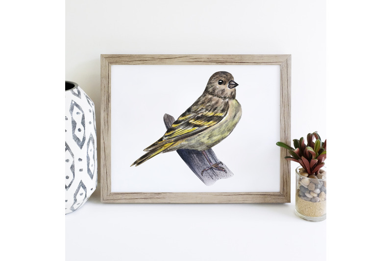 watercolor-winter-birds-clipart-hand-painted-small-birds-set