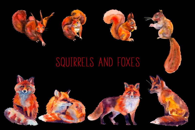 squirrels-and-foxes-watercolor-forest-clipart