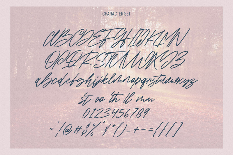 intellections-signature-script-font