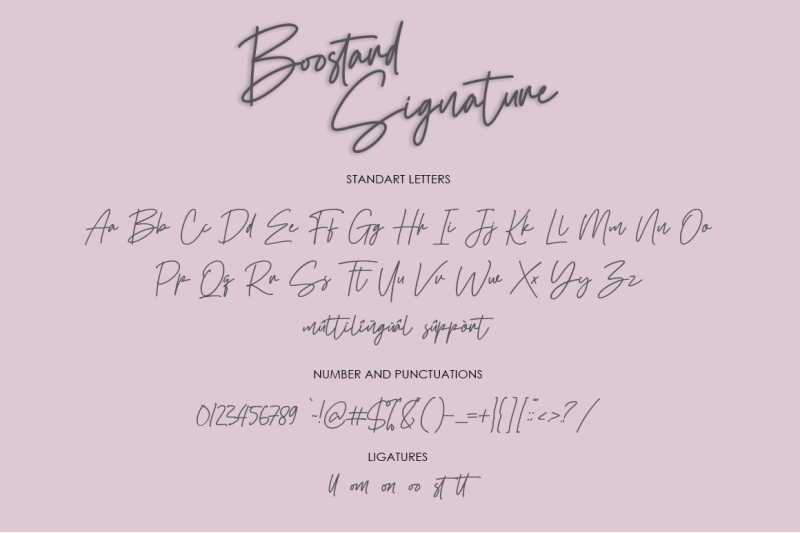 boostard-signature-monoline-signature-font