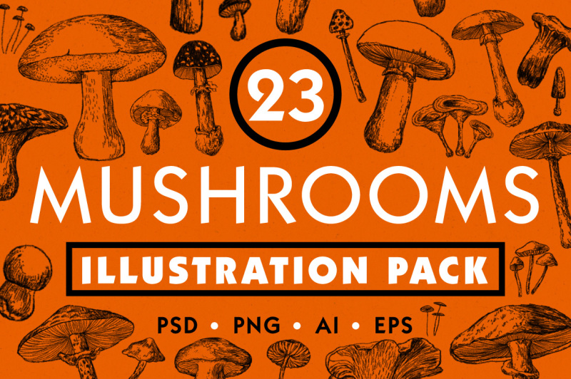 mushroom-illustration-pack