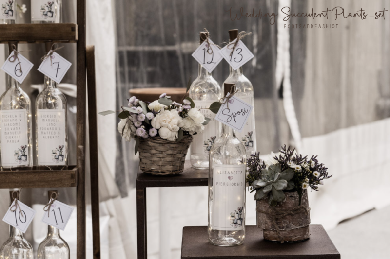wedding-succulent-plants-set
