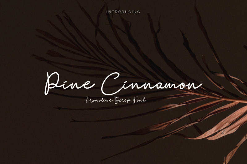 pine-cinnamon