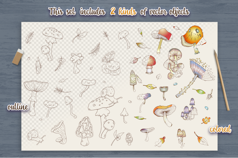 fungi-ai-eps10-svg-png-objects-and-patterns-set