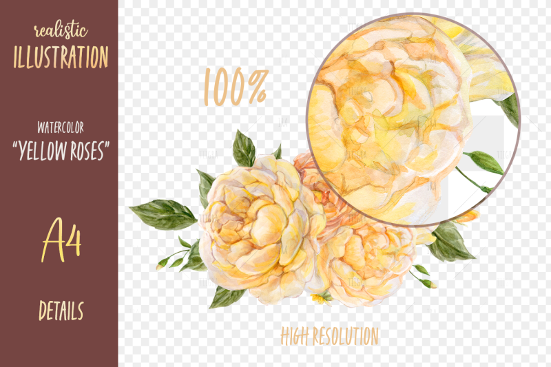 yellow-roses-watercolor-illustration-png-tiff