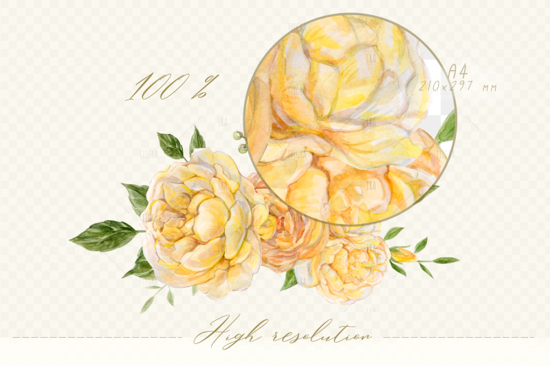 vintage-watercolor-bundle-of-realistic-yellow-roses