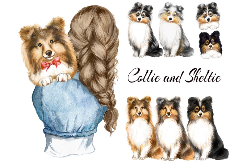 collie-amp-sheltie-clipart-watercolor-dogs-sheltie-lovers-gift