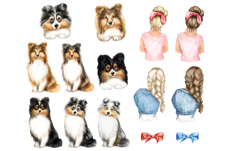 collie-amp-sheltie-clipart-watercolor-dogs-sheltie-lovers-gift
