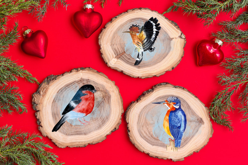 watercolor-christmas-clipart-winter-birds
