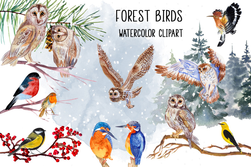 watercolor-christmas-clipart-winter-birds