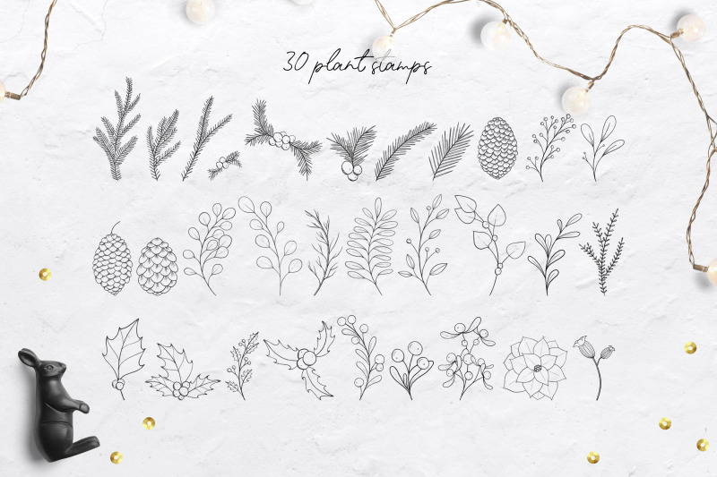 winter-plants-procreate-stamp-brushes