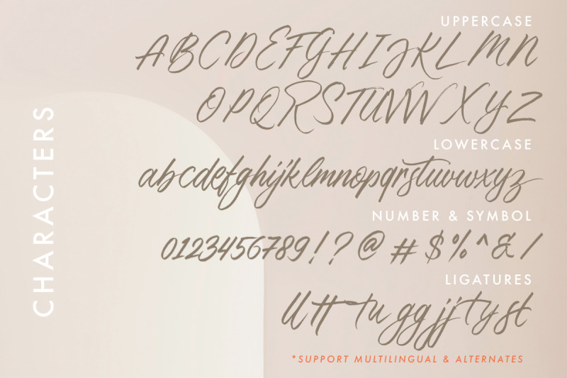 thousand-brights-script-font